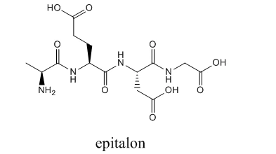 Epitalon Epitalon