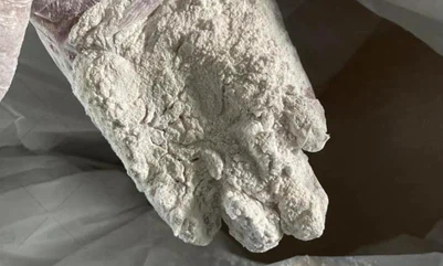 Testosterone Propionate CAS 57-85-2 | Shaanxi BLOOM Tech Co., Ltd Testosterone Propionate CAS 57-85-2 | Shaanxi BLOOM Tech Co., Ltd