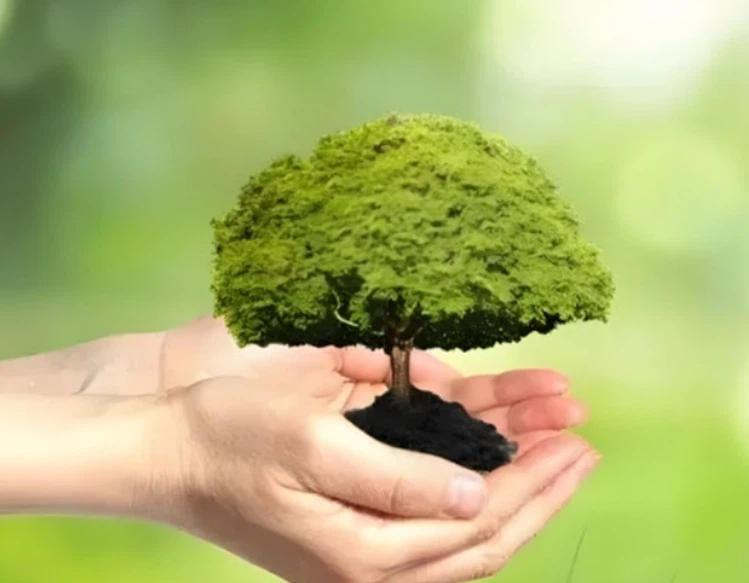 Fluralaner Solution Feasible and Eco-Friendly Approaches | Shaanxi Bloom Tech Fluralaner Solution Feasible and Eco-Friendly Approaches | Shaanxi Bloom Tech