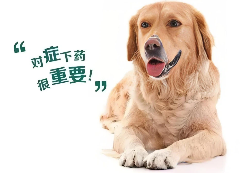 Fluralaner For Sale | Shaanxi BLOOM Tech Co., Ltd Fluralaner For Sale | Shaanxi BLOOM Tech Co., Ltd