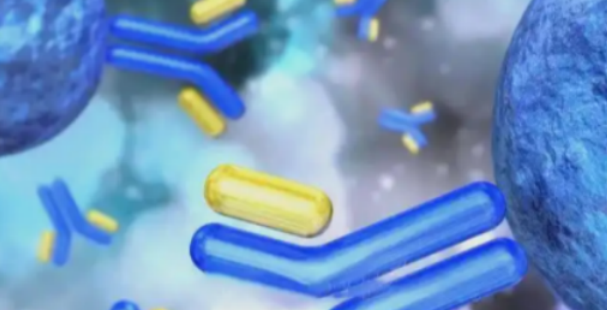 GS-441524 Buy | Shaanxi BLOOM Tech Co., Ltd GS-441524 Buy | Shaanxi BLOOM Tech Co., Ltd