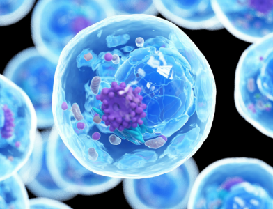 Spermidine 500mcg | Shaanxi BLOOM Tech Co., Ltd Spermidine 500mcg | Shaanxi BLOOM Tech Co., Ltd