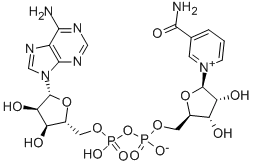NAD+ Peptide Injection| Shaanxi BLOOM Tech Co.,Ltd NAD+ Peptide Injection| Shaanxi BLOOM Tech Co.,Ltd