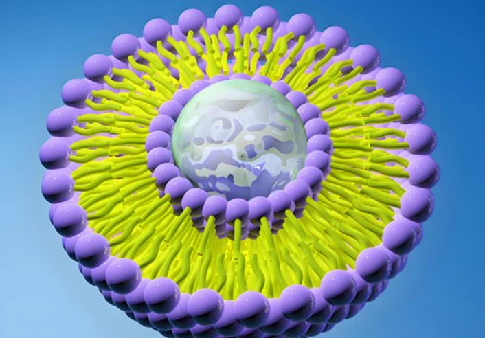 Gabapentin Ointment use | Shaanxi BLOOM Tech Co., Ltd Gabapentin Ointment use | Shaanxi BLOOM Tech Co., Ltd