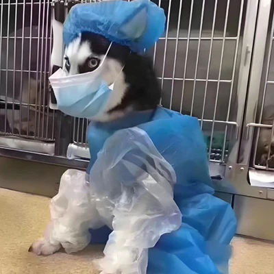 Ivermectin And Pyrantel Pamoate use | Shaanxi BLOOM Tech Co., Ltd Ivermectin And Pyrantel Pamoate use | Shaanxi BLOOM Tech Co., Ltd