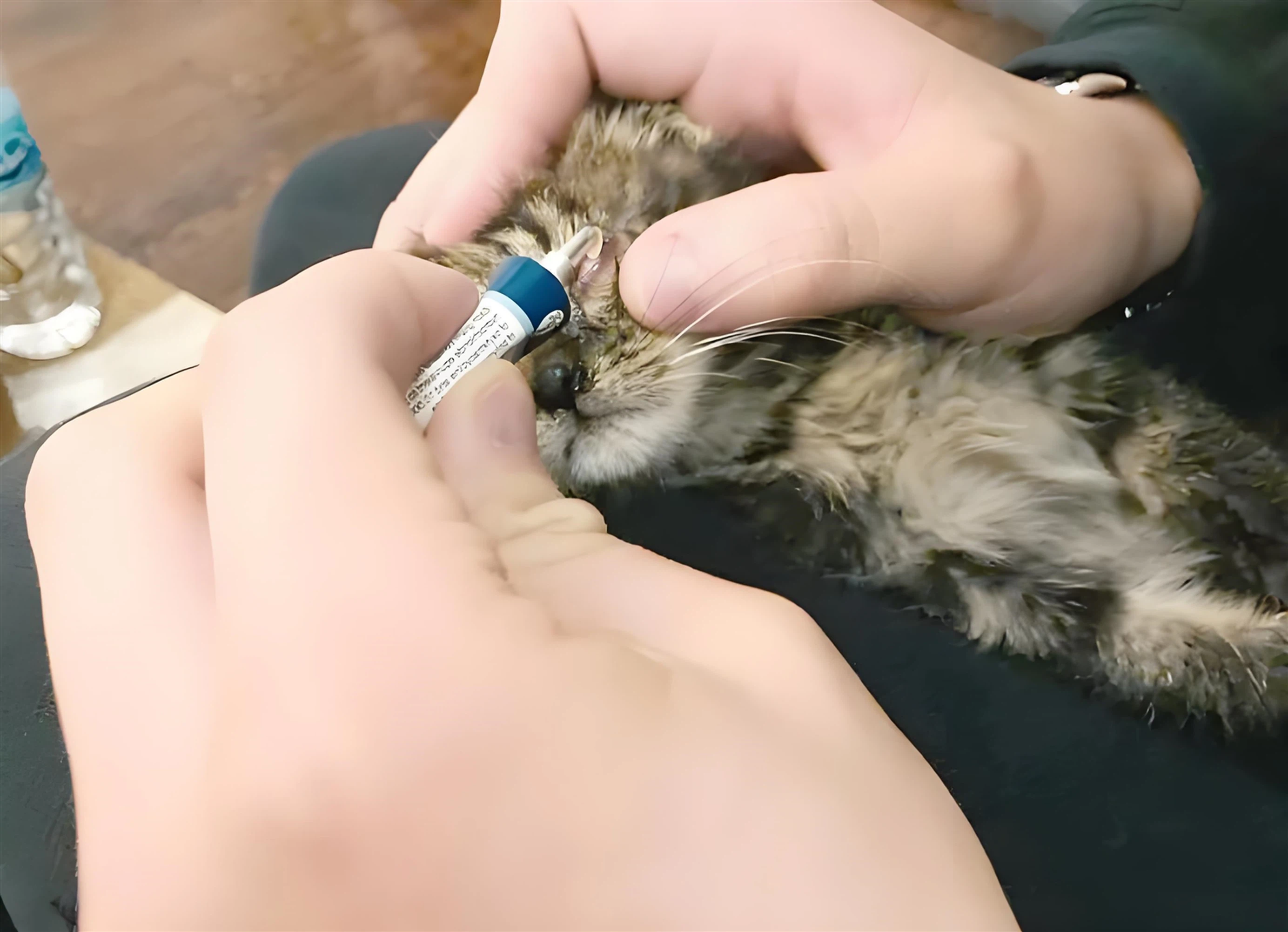 Mirtazapine Price | Shaanxi BLOOM Tech Co., Ltd Mirtazapine Price | Shaanxi BLOOM Tech Co., Ltd